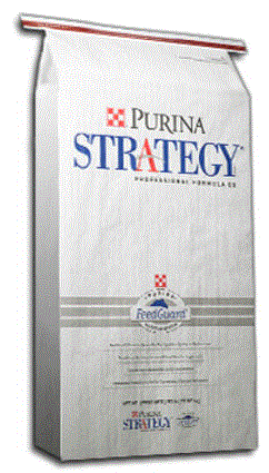 Purina Strategy